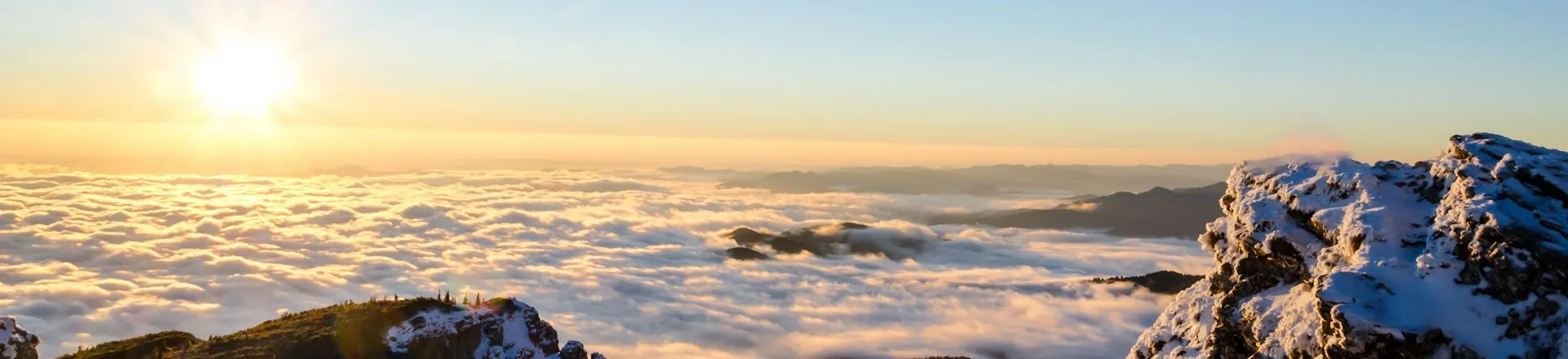 Raro airone bianco visto nei dintorni di Pāpāmoa, Maketū