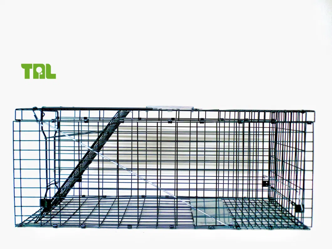 Live Animal Trap Iron Cage Catch Humane Cat Cage Trap for Animal